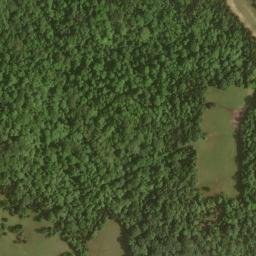 Satellite imagery of Big Cedar Cliffs, US