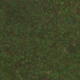 Satellite imagery of Leading Ridge, US