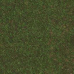 Satellite imagery of Leading Ridge, US
