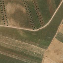 Satellite imagery of survey_point, PT