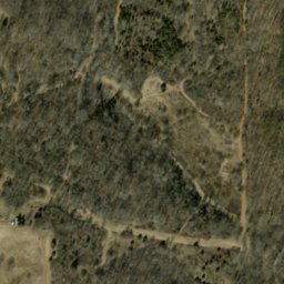 Satellite imagery of Burton Ridge, US