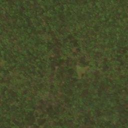 Satellite imagery of Leading Ridge, US