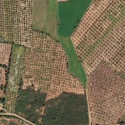 Satellite imagery of La Almagrera, ES
