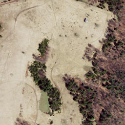 Satellite imagery of Locust Ridge, US