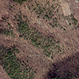 Satellite imagery of Locust Ridge, US