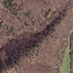 Satellite imagery of Locust Ridge, US
