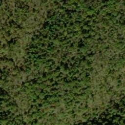 Satellite imagery of Piney Ridge, US
