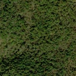 Satellite imagery of Piney Ridge, US
