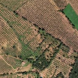 Satellite imagery of La Almagrera, ES