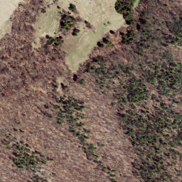 Satellite imagery of Locust Ridge, US