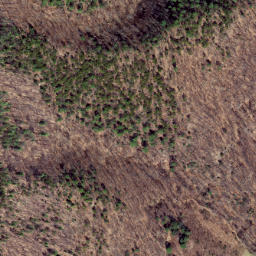 Satellite imagery of Locust Ridge, US