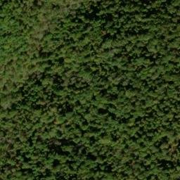 Satellite imagery of Piney Ridge, US