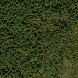 Satellite imagery of Piney Ridge, US