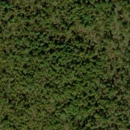 Satellite imagery of Piney Ridge, US