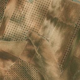 Satellite imagery of survey_point, PT