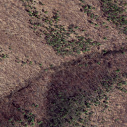 Satellite imagery of Locust Ridge, US