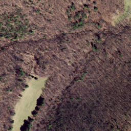 Satellite imagery of Locust Ridge, US
