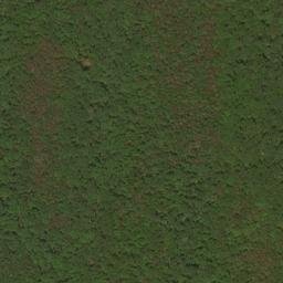 Satellite imagery of Middle Ridge, US