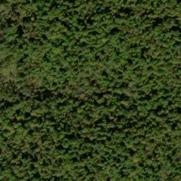 Satellite imagery of Piney Ridge, US