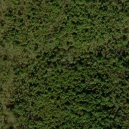 Satellite imagery of Piney Ridge, US