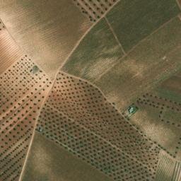 Satellite imagery of survey_point, PT