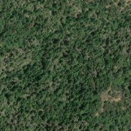 Satellite imagery of Oak Ridge, US