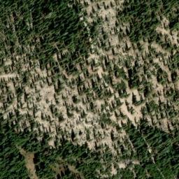 Satellite imagery of Cal-Pine Mine, US