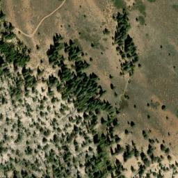 Satellite imagery of Cal-Pine Mine, US