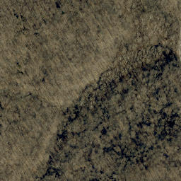 Satellite imagery of McBrides Bluff, US