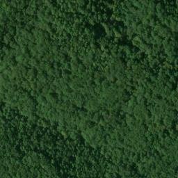 Satellite imagery of Forest Ridge, US