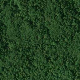 Satellite imagery of Forest Ridge, US