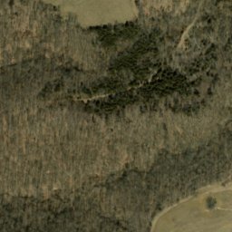 Satellite imagery of Walnut Ridge, US