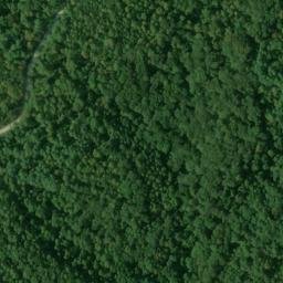 Satellite imagery of Forest Ridge, US