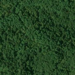 Satellite imagery of Forest Ridge, US