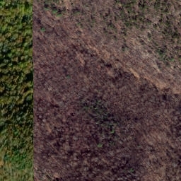 Satellite imagery of Middle Ridge, US