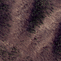 Satellite imagery of Cabin Ridge, US