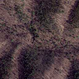 Satellite imagery of Cabin Ridge, US