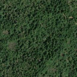 Satellite imagery of Oak Ridge, US