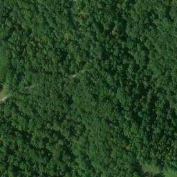 Satellite imagery of Forest Ridge, US