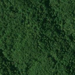 Satellite imagery of Forest Ridge, US