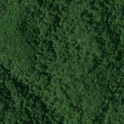 Satellite imagery of Forest Ridge, US
