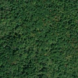 Satellite imagery of Jenkins Ridge, US