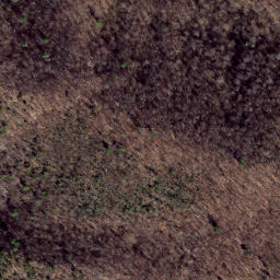 Satellite imagery of Middle Ridge, US