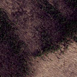 Satellite imagery of Clover Lick Ridge, US