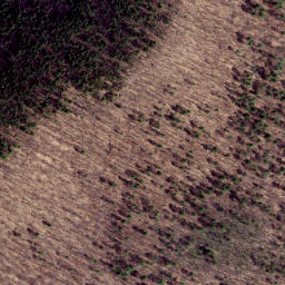 Satellite imagery of Clover Lick Ridge, US