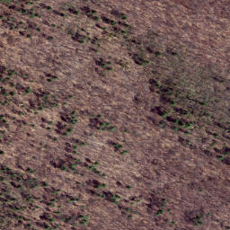 Satellite imagery of Clover Lick Ridge, US