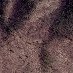 Satellite imagery of Cabin Ridge, US