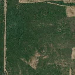 Satellite imagery of survey_point, ES