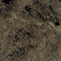 Satellite imagery of Old Mans Nose, US