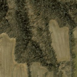 Satellite imagery of Walnut Ridge, US